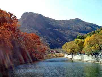 澳门天天免费精准大全，石家庄岩棉保温板